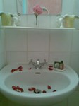 Bathroom of Rosegarden